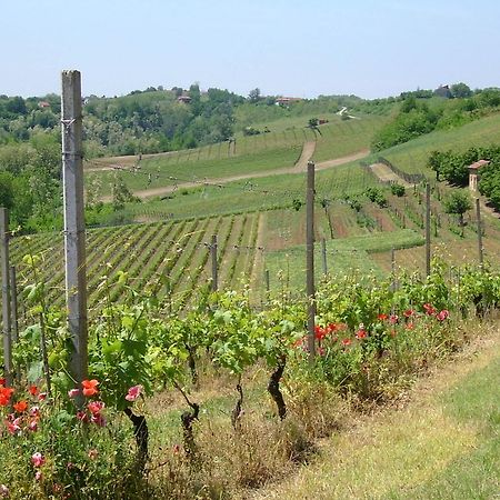 Вилла Cascina Rollone Rocchetta Tanaro Экстерьер фото